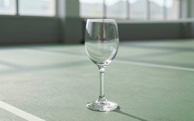 10 Best Highball Glasses for Mixed Drinks (October 2026)