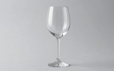 Best Universal Wine Glasses